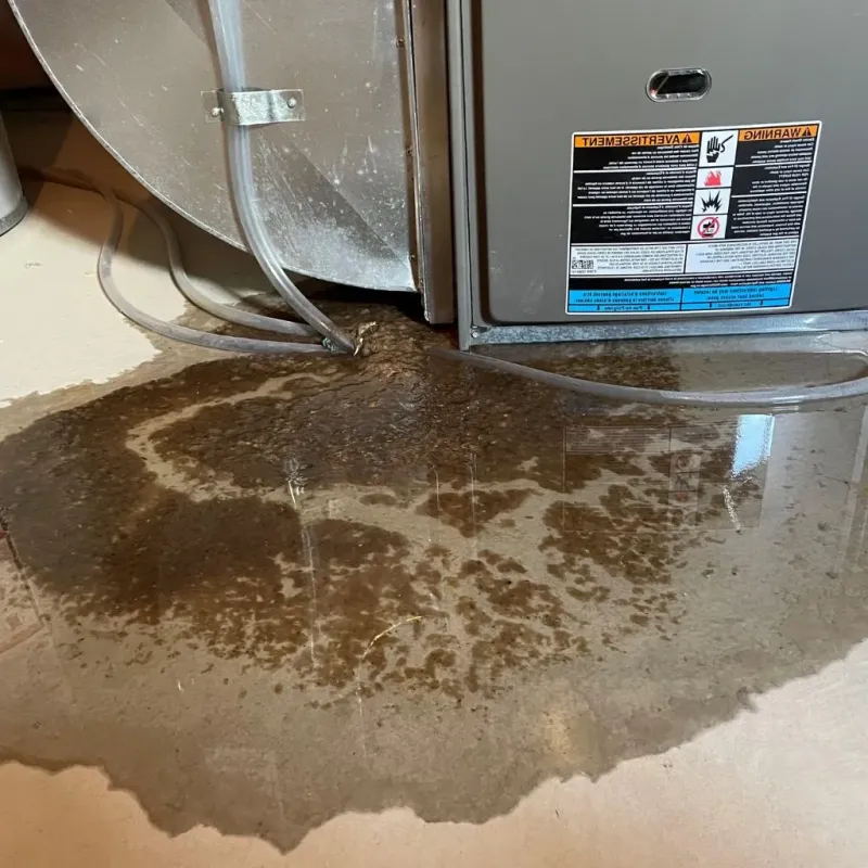 Pipe Burst and Leak Restoration in Carlisle, KY